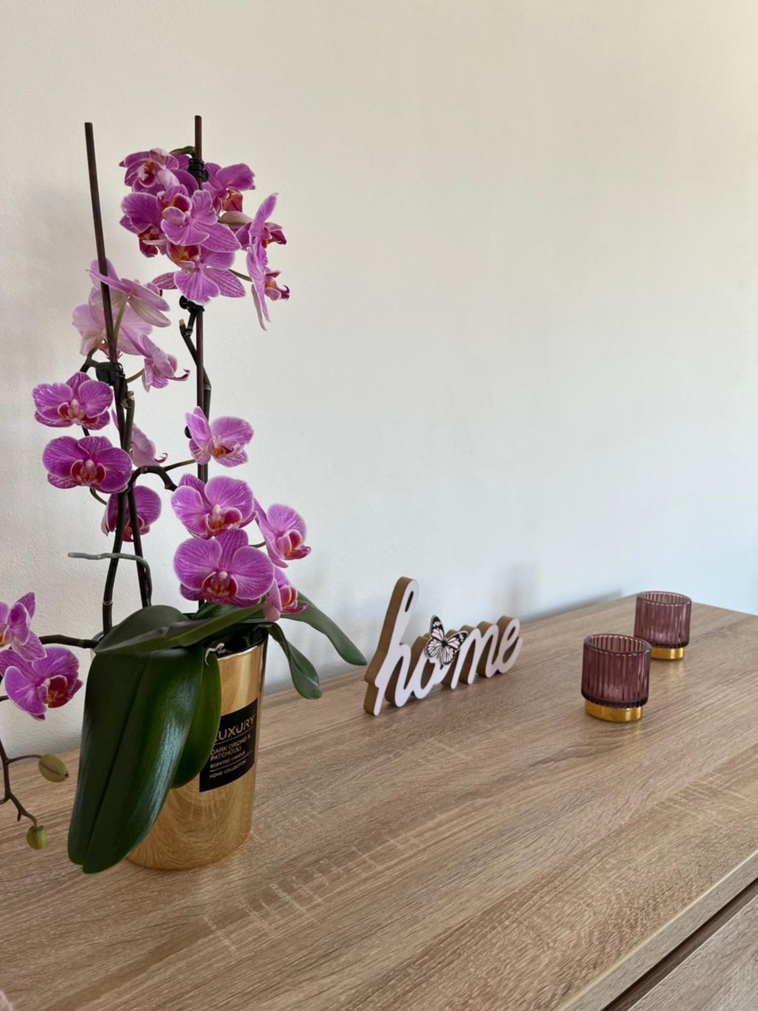 Apartman Niklan Rožnov pod Radhoštěm Buitenkant foto